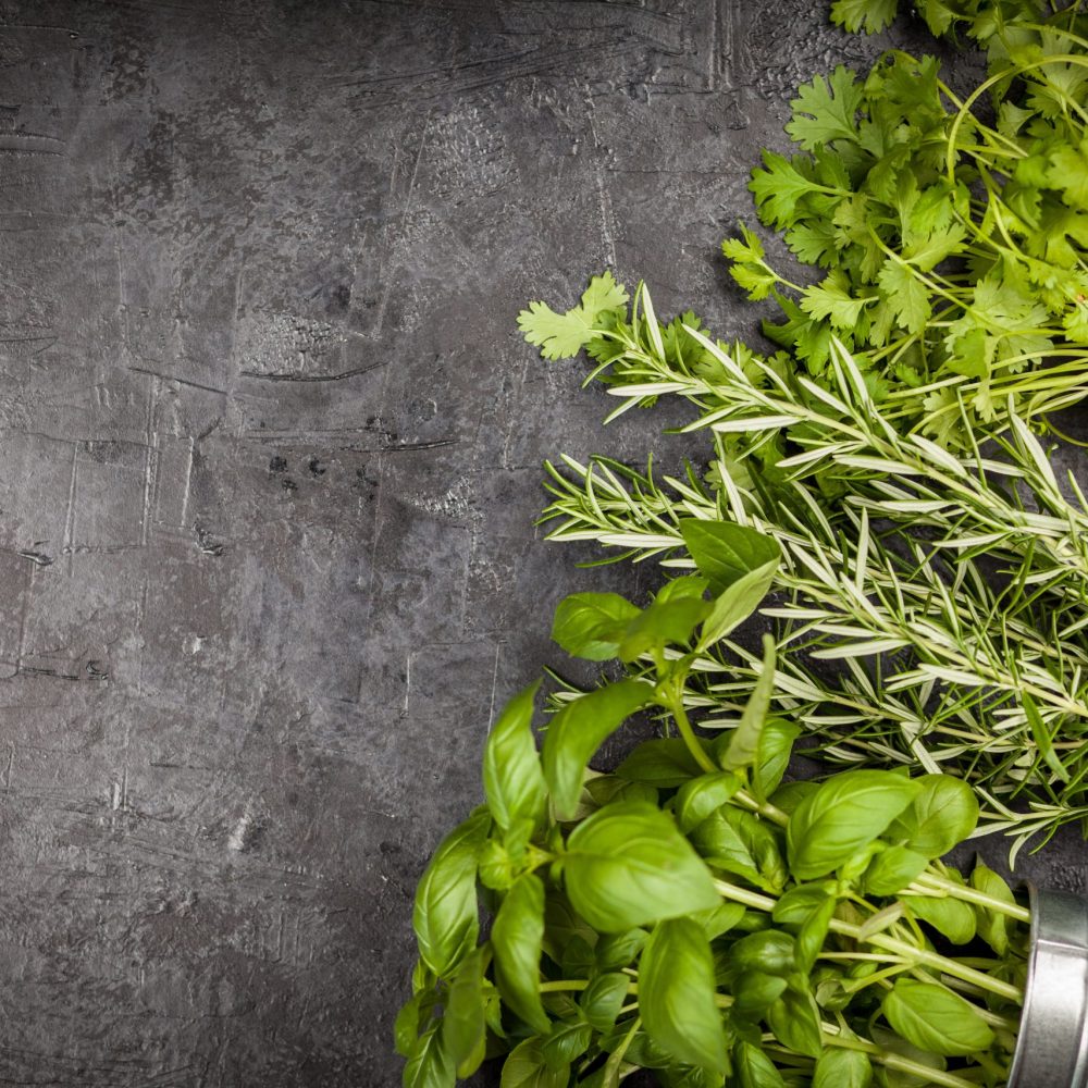 Fresh herbs on grey background - basil, rosemary, coriander